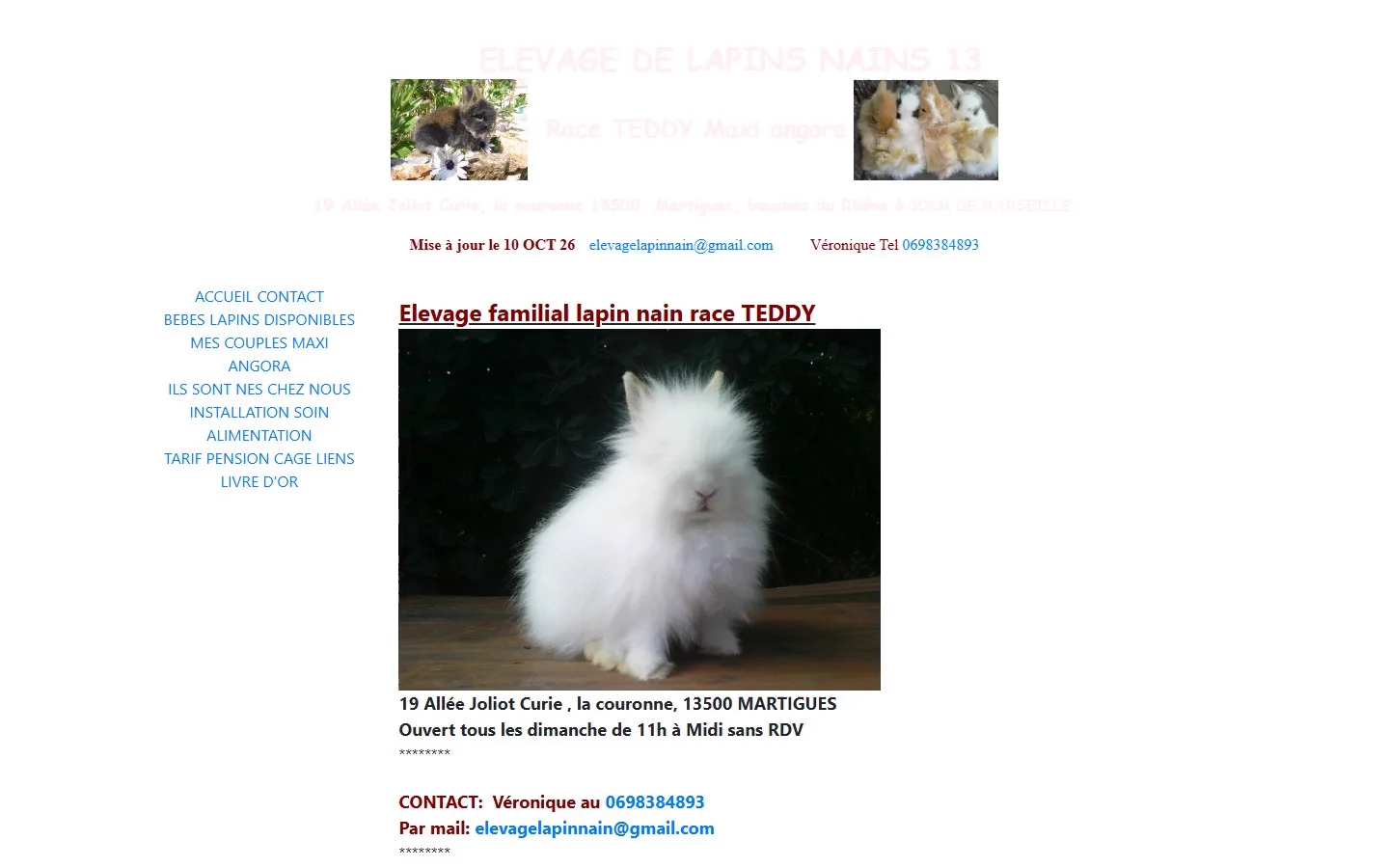 Lapins Nains Teddy — Before