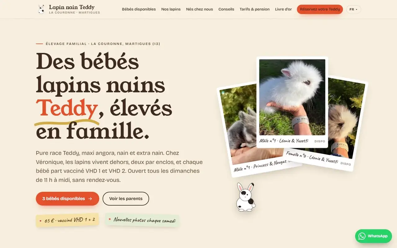 Lapins Nains Teddy