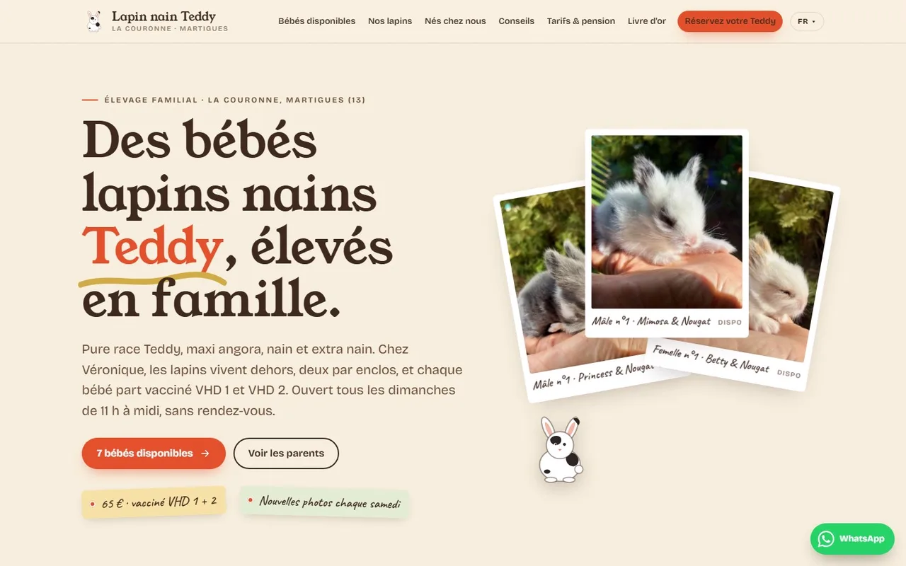 Lapins Nains Teddy — After