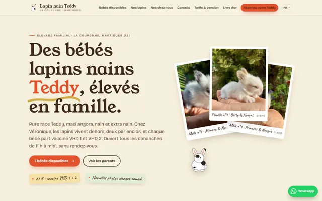Lapins Nains Teddy — New site · Home