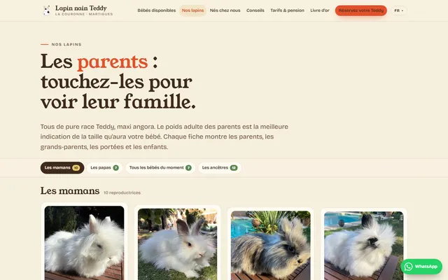 Lapins Nains Teddy — New site · /nos-lapins/
