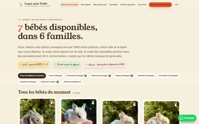 Lapins Nains Teddy — New site · /bebes-lapins-disponibles/