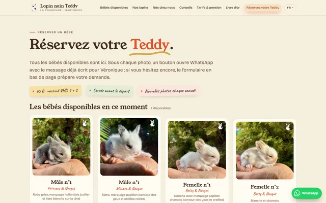 Lapins Nains Teddy — New site · /reserver/