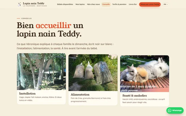 Lapins Nains Teddy — New site · /conseils/