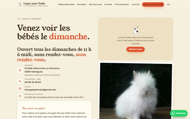 Lapins Nains Teddy — New site · /visite-contact/