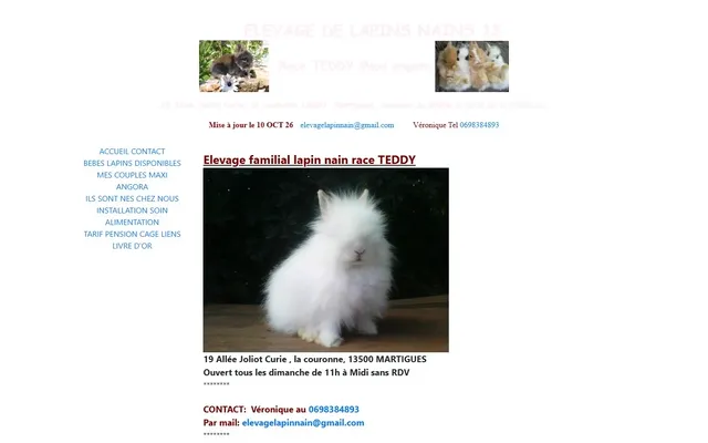 Lapins Nains Teddy — Old site · Home