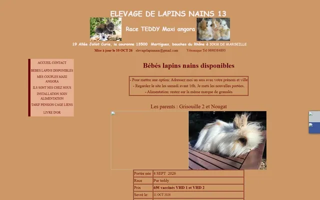 Lapins Nains Teddy — Old site · /les-portees-disponibles