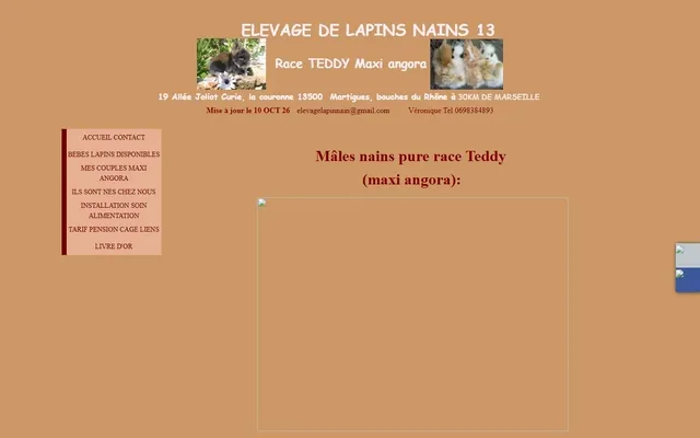 Lapins Nains Teddy — Old site · /couple-teddy-maxi-angora