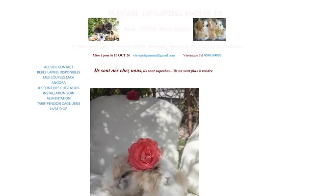Lapins Nains Teddy — Old site · /ils-sont-nes-chez-nous